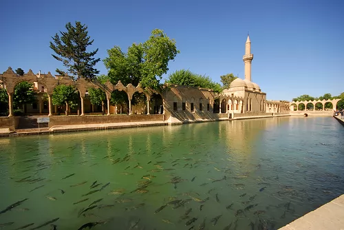 BAŞTAN BAŞA GAP TURU 1