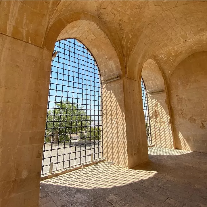 BAŞTAN BAŞA GAP TURU 2