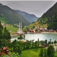 DOĞU KARADENİZ YAYLALARI TURU